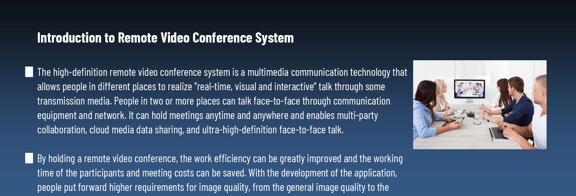 Video Conference System Terminal