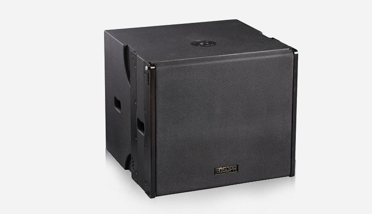 15 inch 800w active line array subwoofer