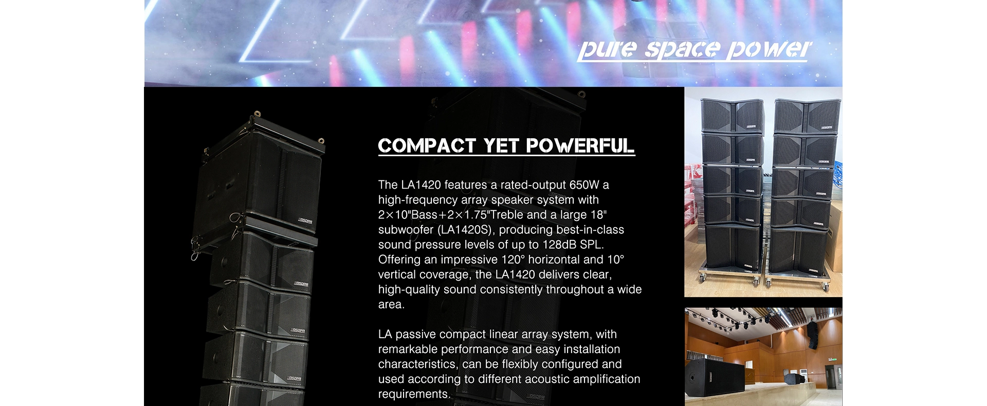10 Inch 650W Passive Array Full Range Speaker (1 PCS)