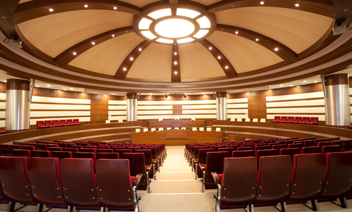 D8826 Pro Audio Processor + DSP3130 Series Conference column Speaker Solution for Medium-sized Report Hall