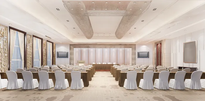 Immersive Panoramic Audio System Solution For Conference Hall and Lecture Hall D6686