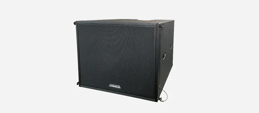 18'' Passive Line Array Subwoofer 800W