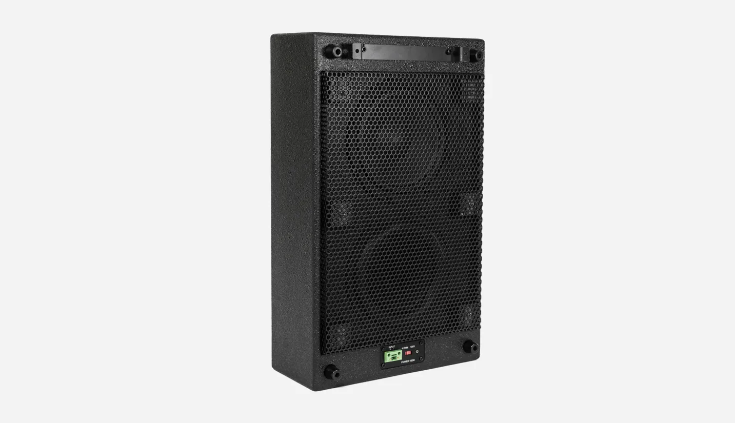 8 Inch 100W Passive Subwoofer Speaker 100V/ 4 Ohm