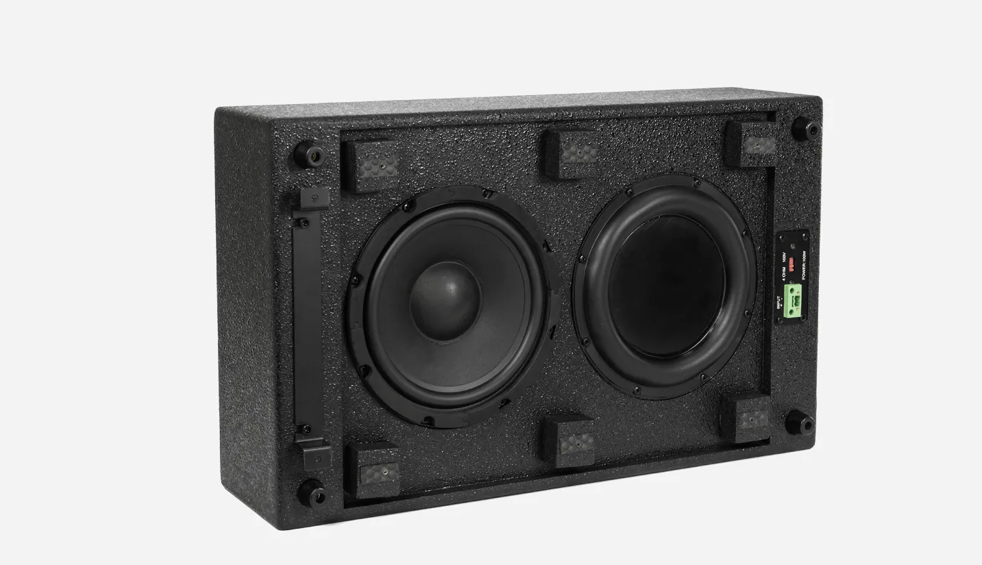 8 Inch 100W Passive Subwoofer Speaker 100V/ 4 Ohm