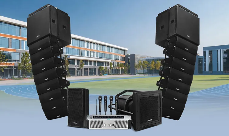 Professional Line Array Sound Reinforcement Solution for School Playgrounds
