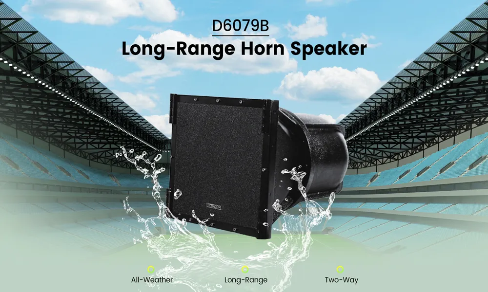 professional-line-array-sound-reinforcement-solution-for-school-playgrounds (13).jpg